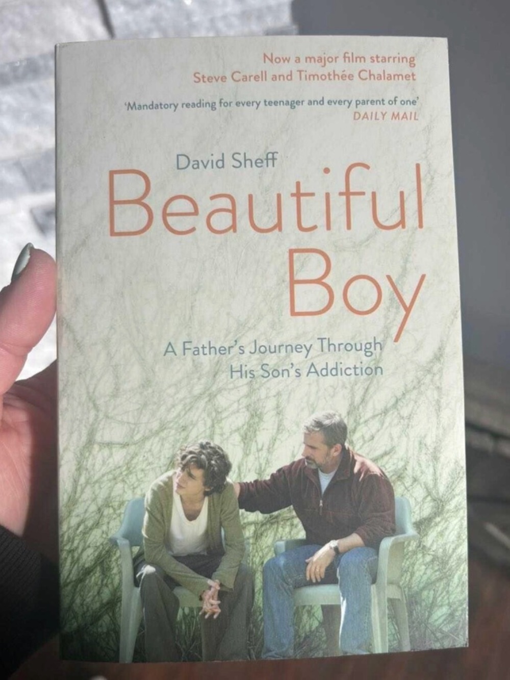 Beautiful Boy by David Sheff - Paperback Book in Cream & Green